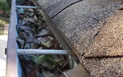 Preventing Mosquito Breeding in Clogged Gutters