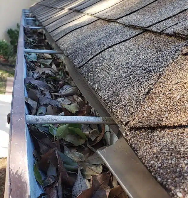Preventing Mosquito Breeding in Clogged Gutters