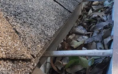 How Florida’s Heavy Rains Impact Your Gutter System