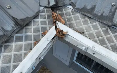 Preparing Your Gutters for Florida’s Hurricane Season