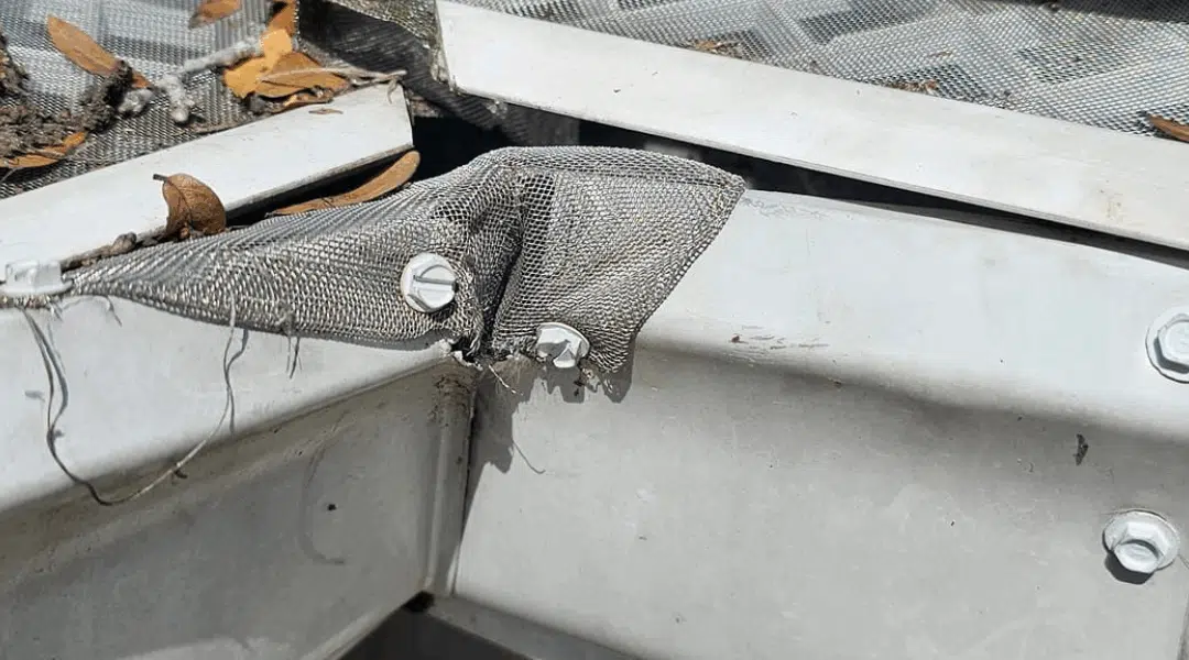 The True Cost of Ignoring Gutter Maintenance