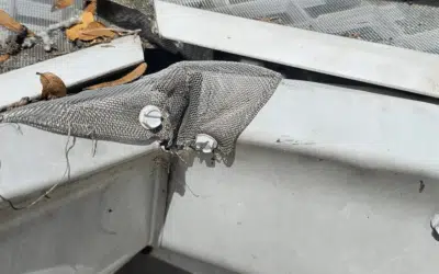 The True Cost of Ignoring Gutter Maintenance