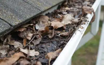 Common Gutter Problems in Lakeland, FL Homes